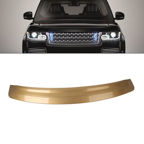 Engine hood panel - hood, molding